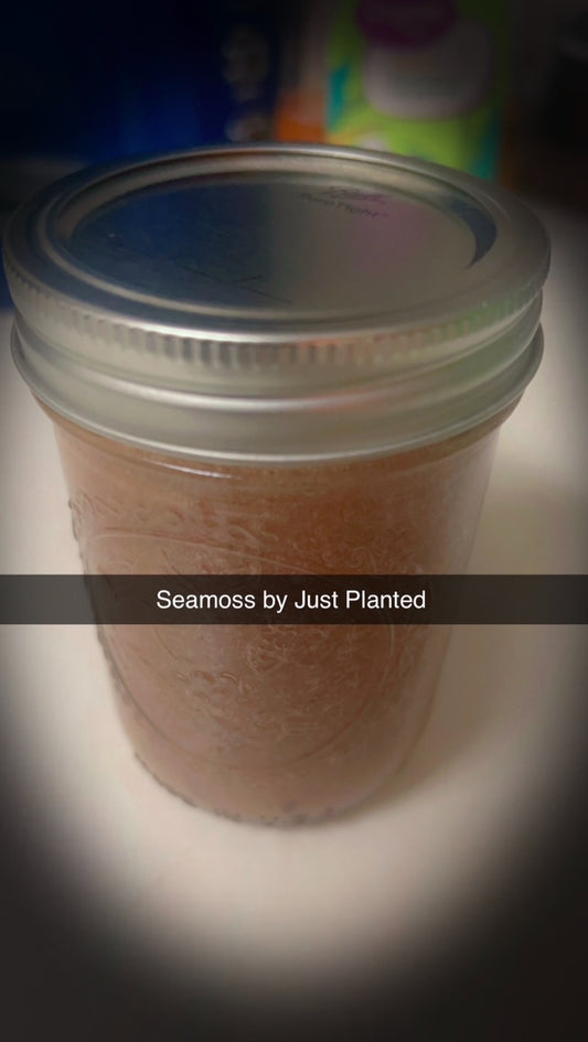 Purple Sea Moss Gel (not available to ship)
